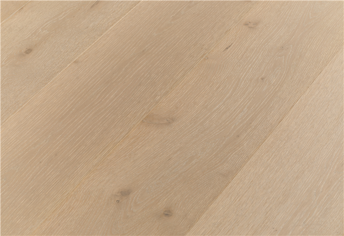 場(chǎng)景 (11).jpg